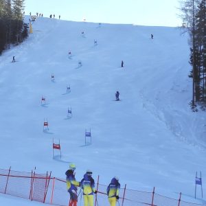 b5d3f54a-1c79-484c-aa5f-54873b2c8da7